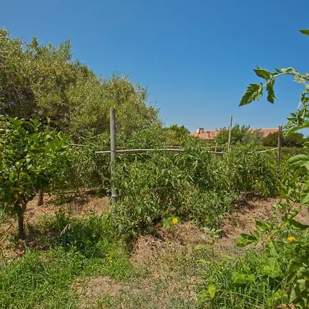 Domaine Bollaccia - Casa Saleccia Lejlighed *